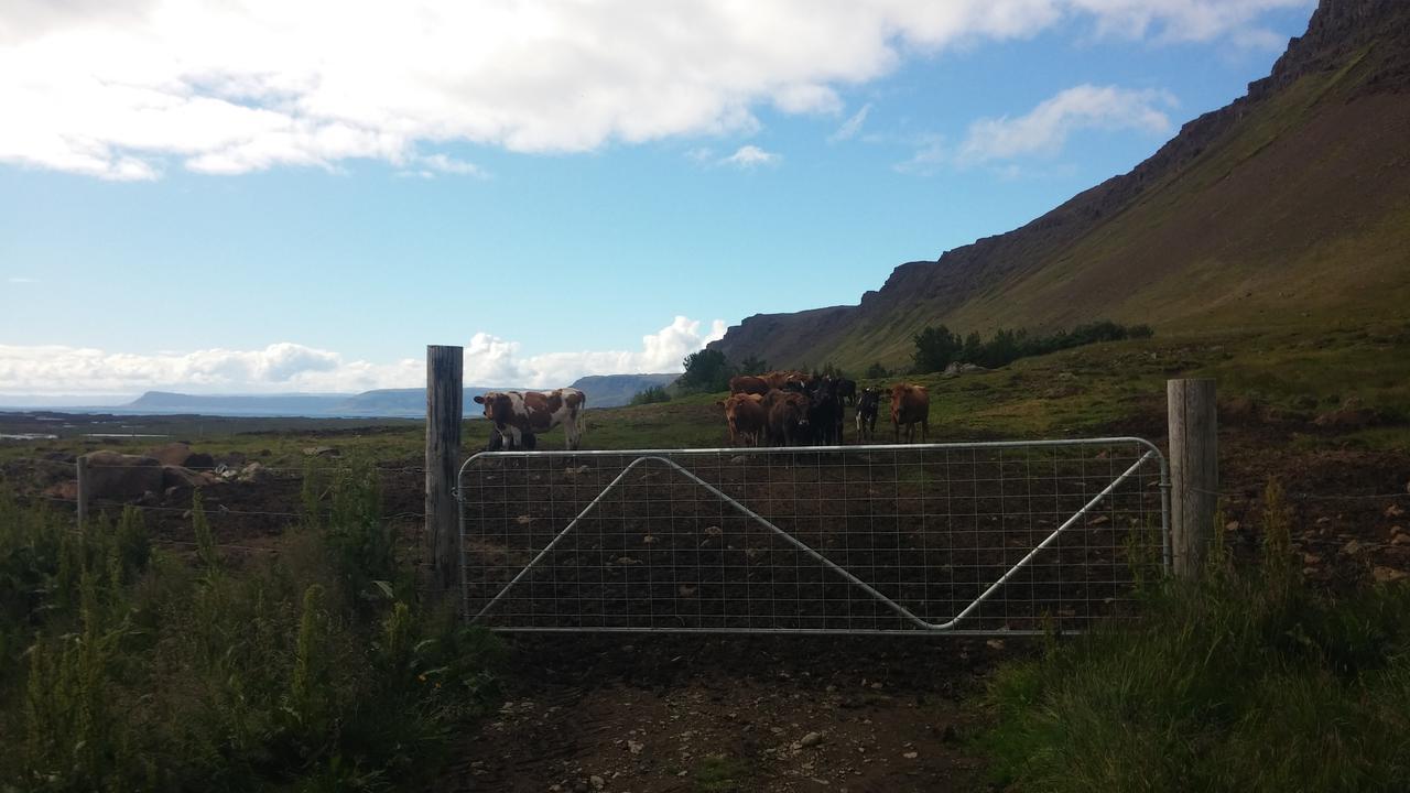 Гостевой дом Mithjanes Reykholahrepp Рейкхолар Экстерьер фото